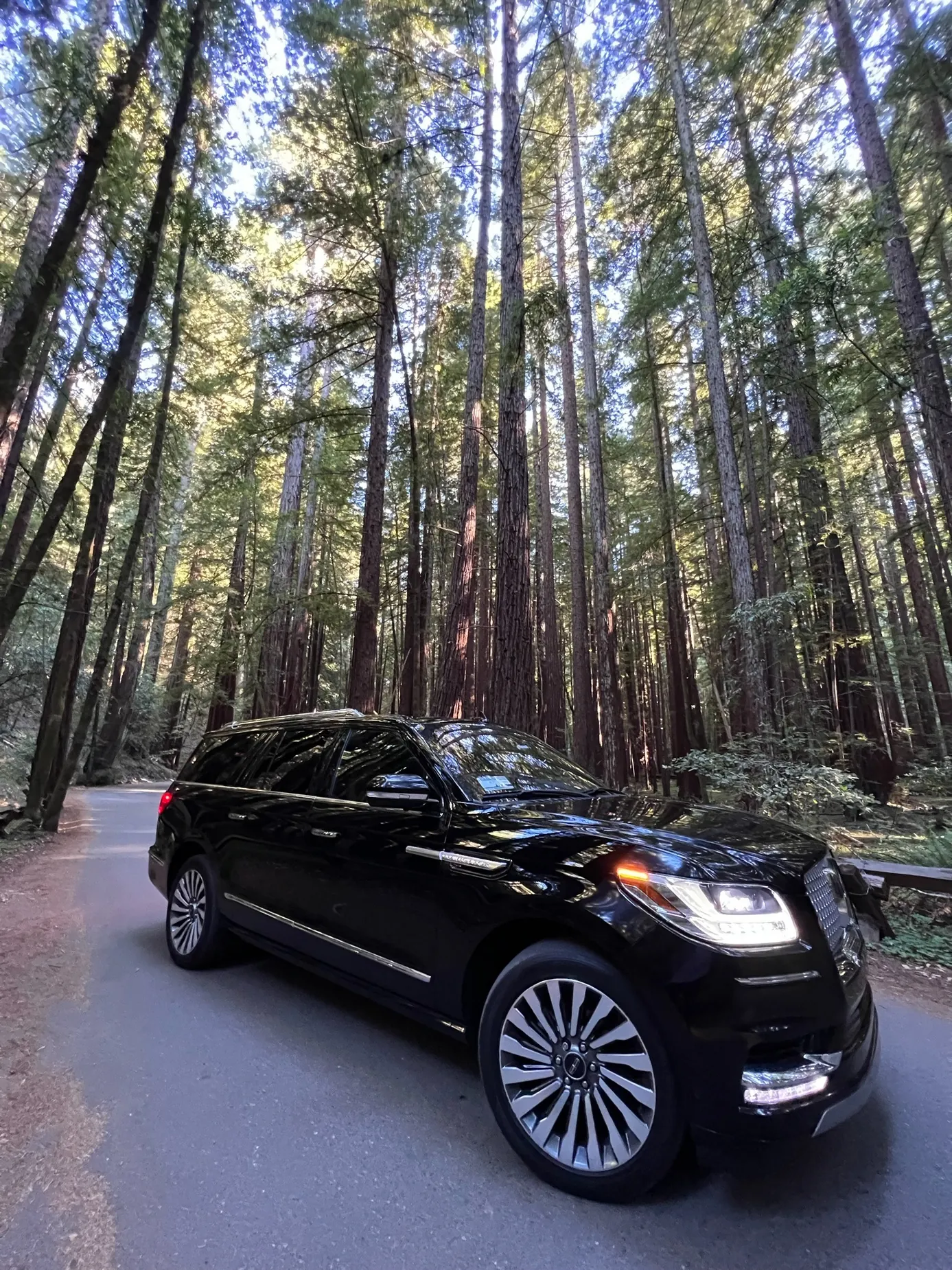 Luxury SUV traveling among California redwood trees